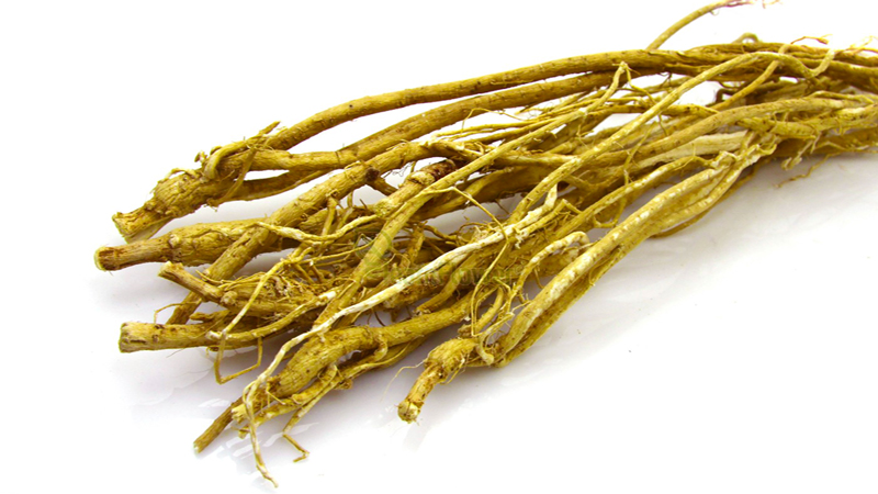 astragalus-root-herb-boost-immune-function